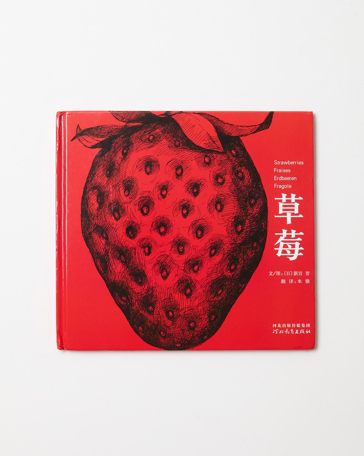 STRAWBERRY - SUSUMU SHINGU